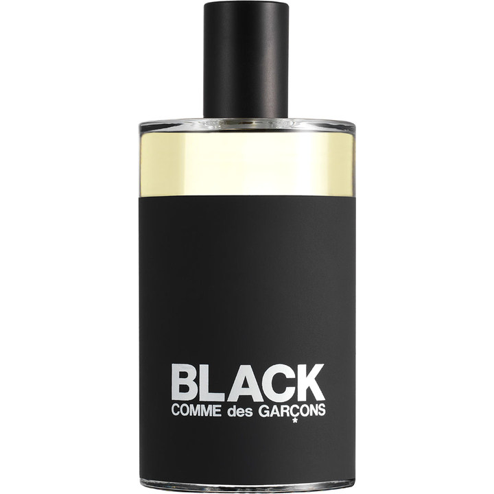 Black Comme des Garçons